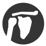Bones-03 - Family Hospital Systems shoulder joint