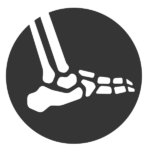 Bones-05 - Family Hospital Systems ankle joint
